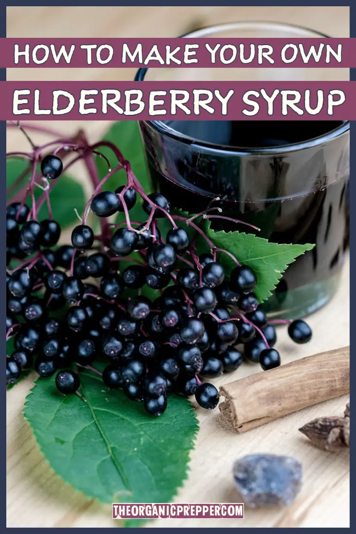 How To Make Your Own Elderberry Syrup