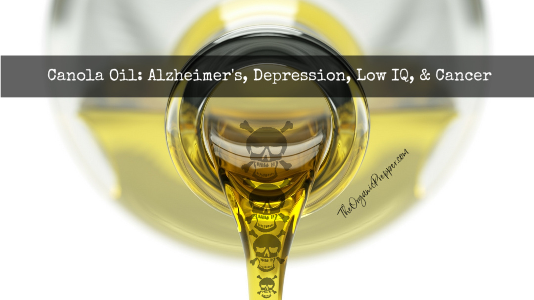 Canola Oil Alzheimer's, Depression, Low IQ, Cancer Organic Prepper