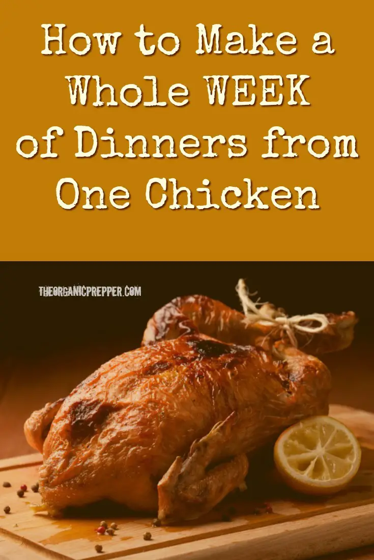 How to Make a Whole WEEK of Dinners from One Chicken