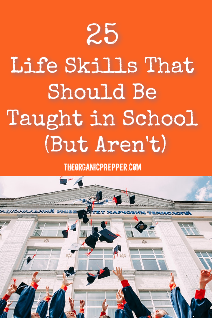 25 Basic Life Skills That Should Be Taught in School (But Aren\'t)