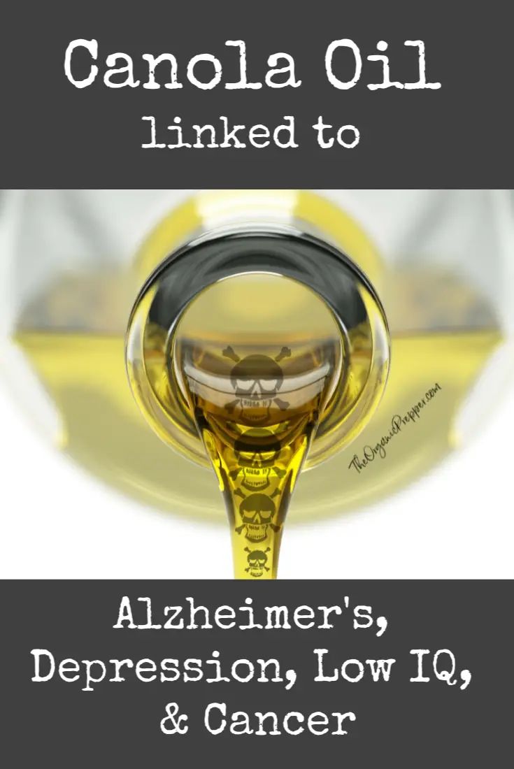Canola Oil: Alzheimer\'s, Depression, Low IQ, & Cancer