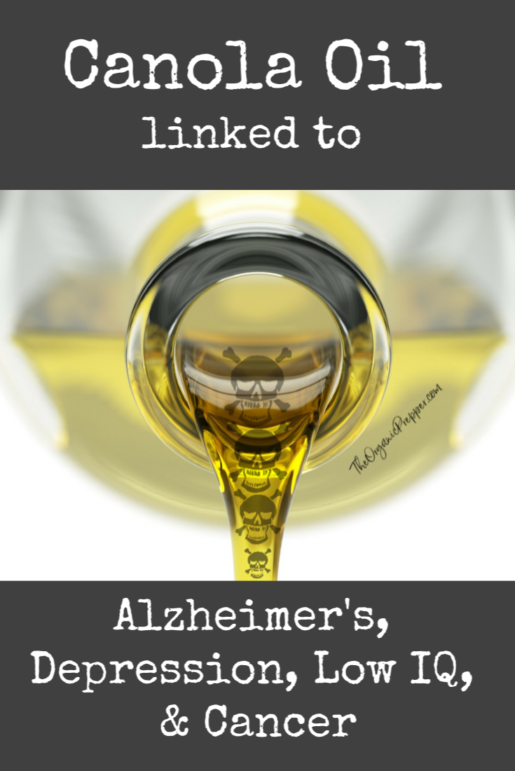 Canola Oil Alzheimer's, Depression, Low IQ, Cancer Organic Prepper