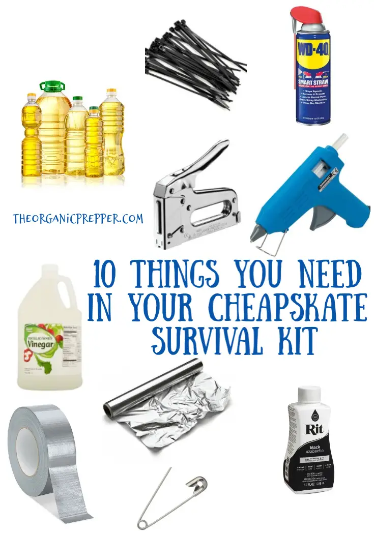 10 Things You Need in Your Cheapskate Survival Kit