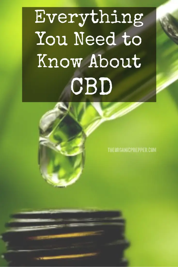 Nature\'s Miracle: Everything You Need to Know About CBD