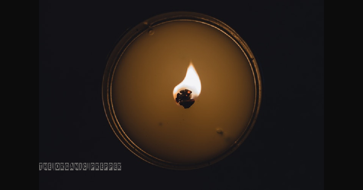 How to Make a Crisco Candle (Safely) - The Organic Prepper