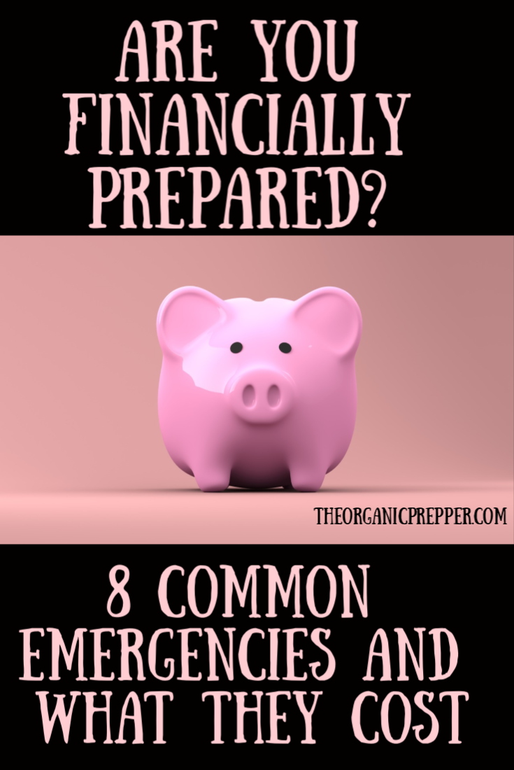 Are You Financially Prepared? 8 Common Emergencies and What They Cost