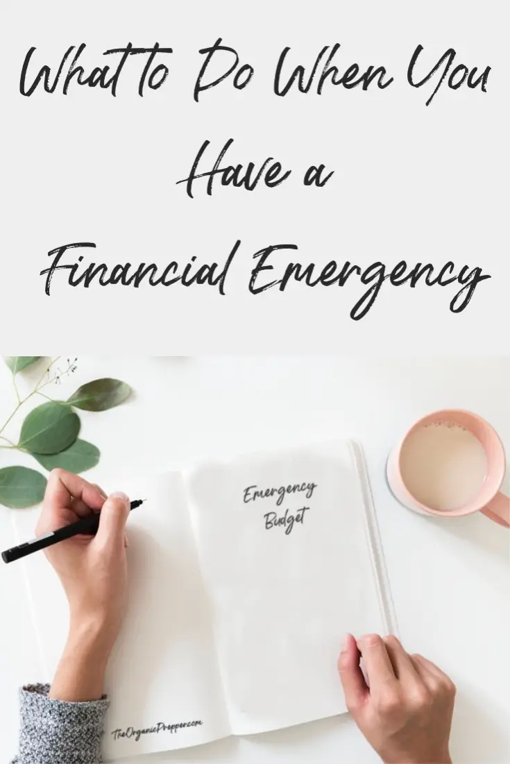 What to Do When You Have a Financial Emergency