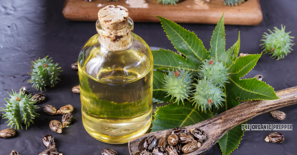 10 (Non-Yucky) Ways to Use Castor Oil