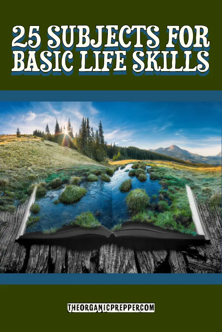 25 Subjects for Basic Life Skills