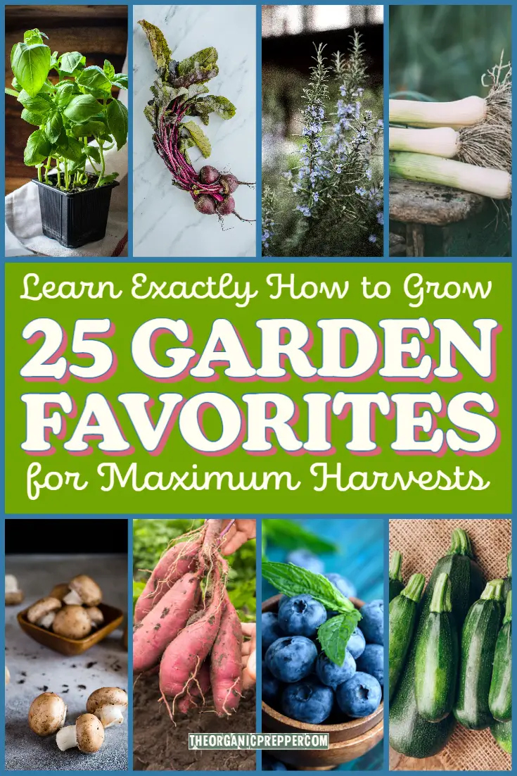 Learn Exactly How to Grow 25 Garden Favorites for Maximum Harvests