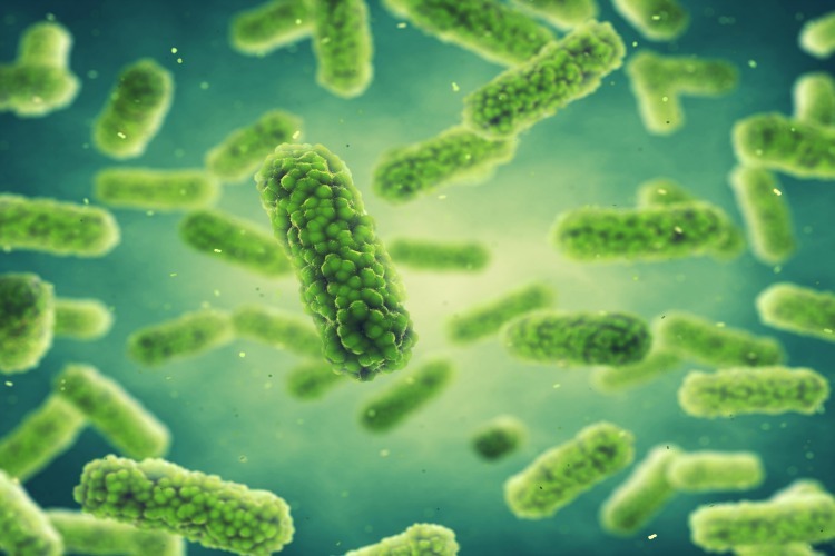 Listeria Claims a Life: What You Need to Know About This ...