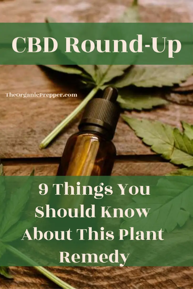 CBD Round-Up: 9 Things You Should Know About This Plant Remedy
