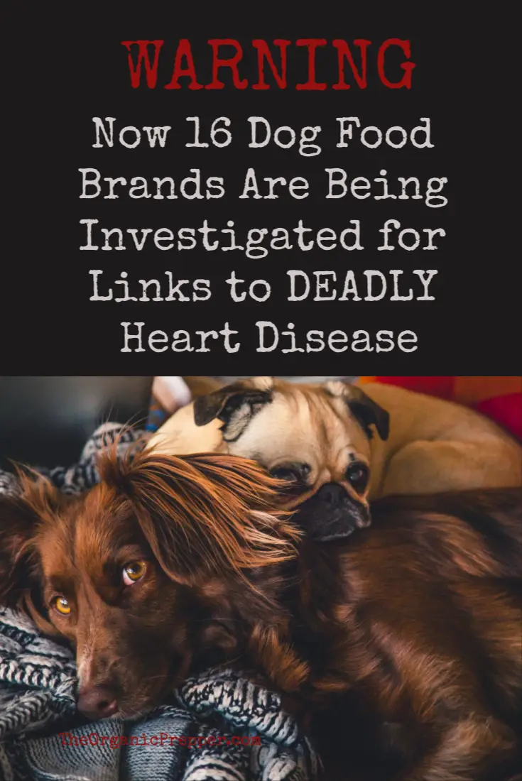 WARNING: 16 PREMIUM Dog Food Brands Linked to Deadly Heart Disease