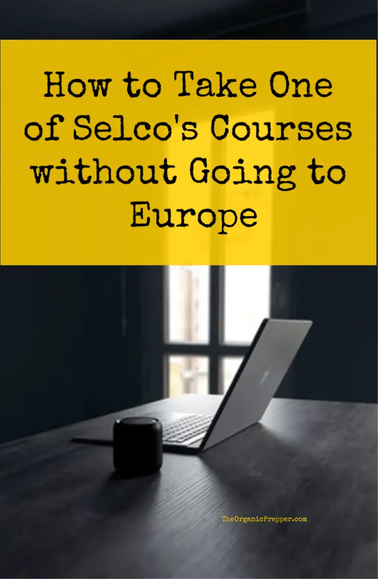 How to Take One of Selco\'s Courses without Going to Europe