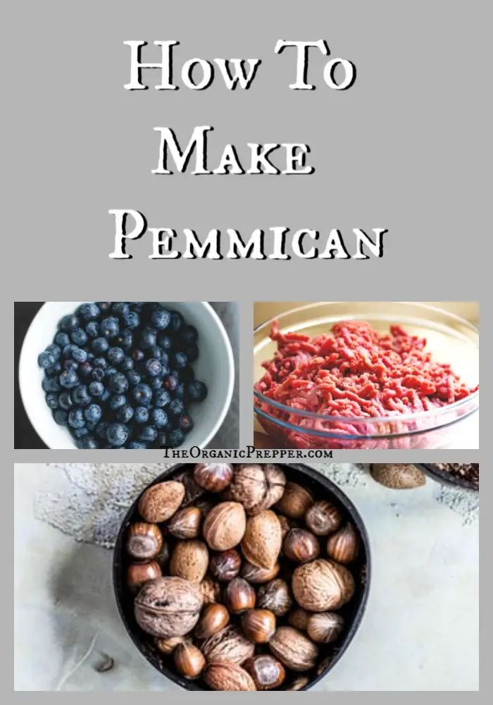 How to Make Your Own Pemmican