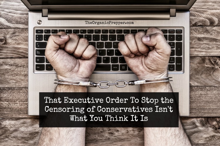 That Executive Order To Stop the Censoring of Conservatives Isn't What You Think It Is