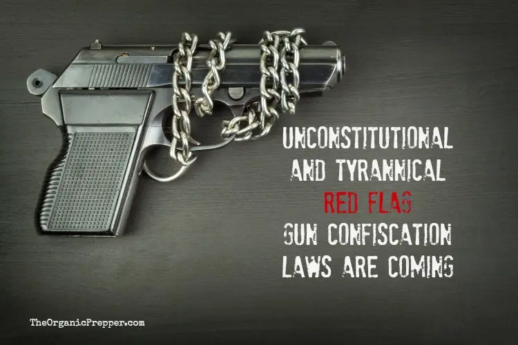 Unconstitutional and Tyrannical Red Flag Gun Confiscation Laws Are Coming