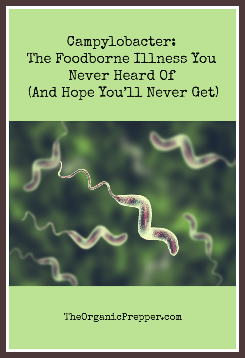 Campylobacter: The Foodborne Illness You Never Heard Of (And Hope You’ll Never Get)
