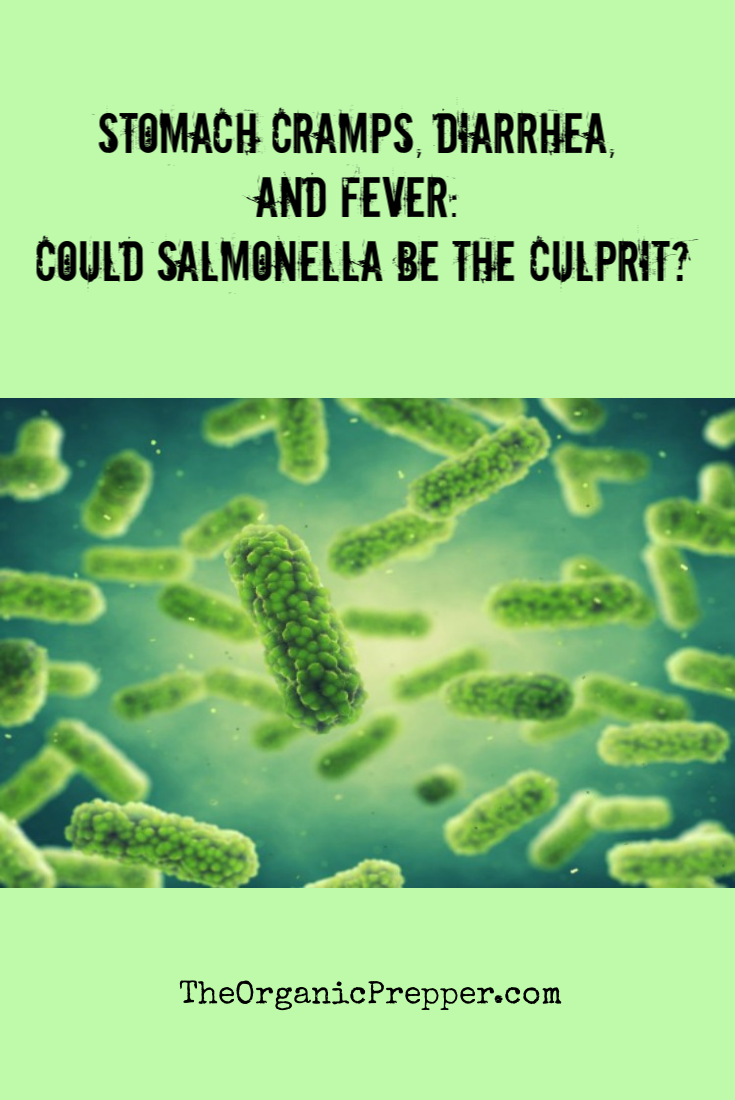 Stomach Cramps, Diarrhea, and Fever: Could Salmonella Be the Culprit?