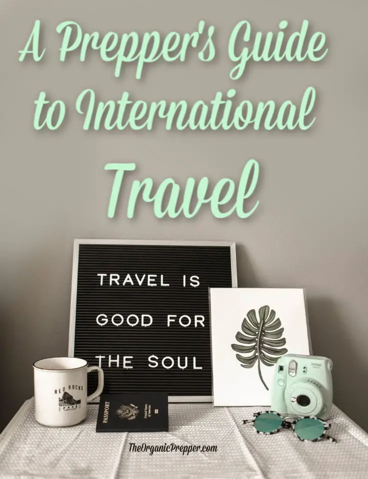A Prepper\'s Guide to International Travel