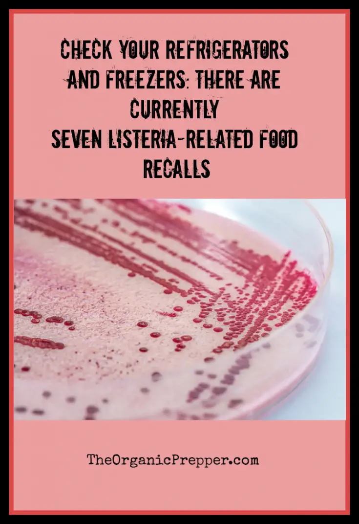 Check Your Refrigerators and Freezers: There Are Currently Seven Listeria-Related Food Recalls