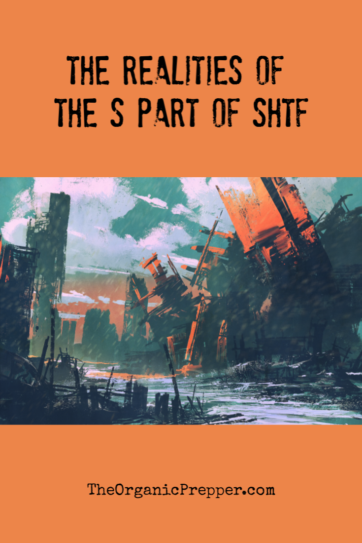 The Realities of the S Part of SHTF