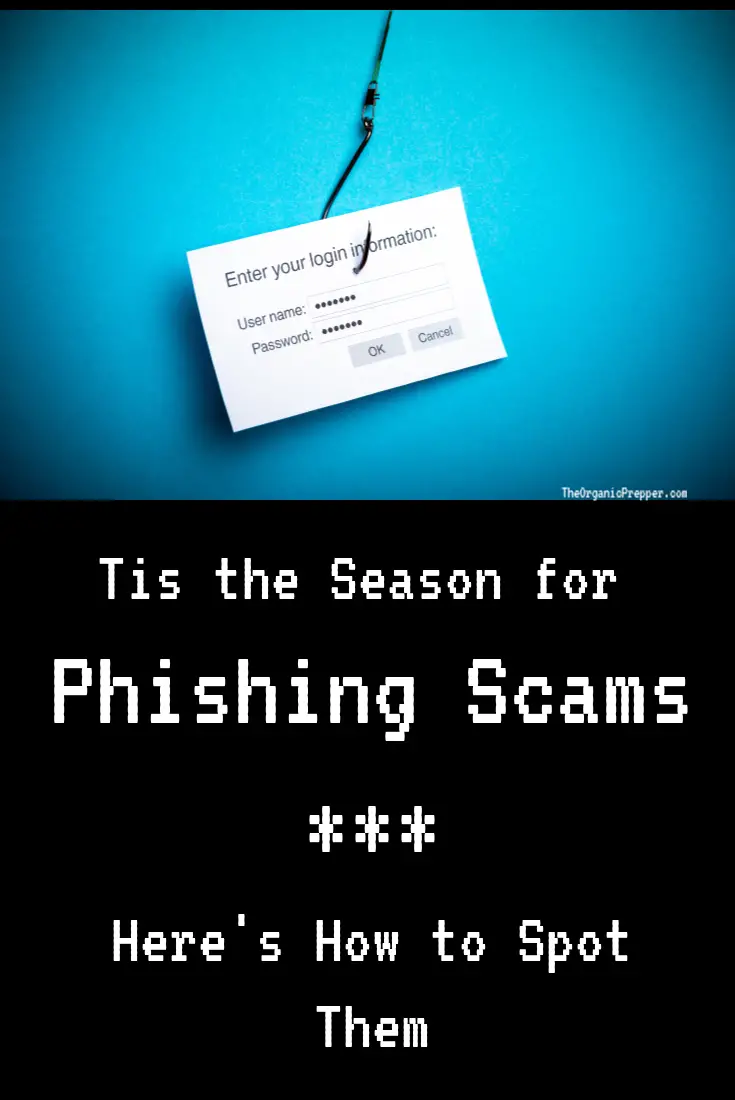 \'Tis the Season for Phishing Scams: Here\'s How to Spot Them