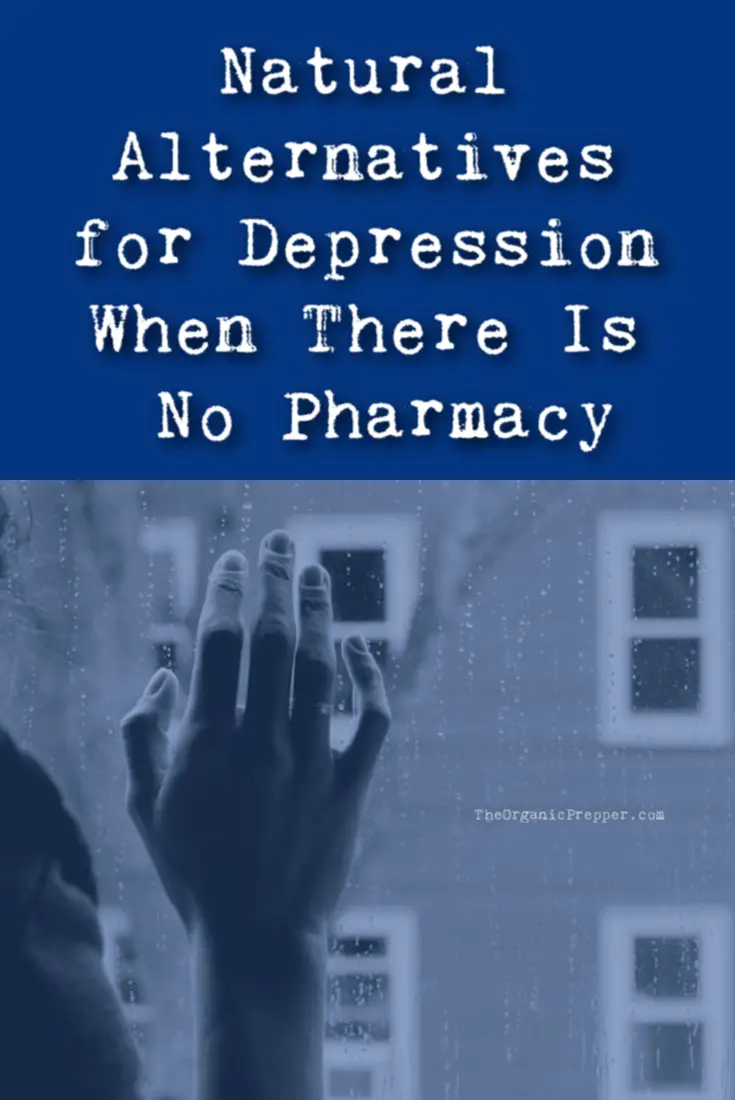 Natural Alternatives for Depression When There Is No Pharmacy