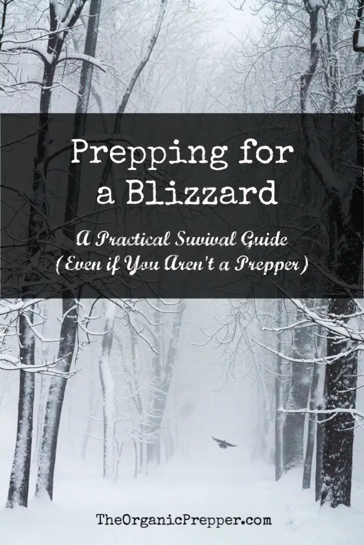Prepping for a Blizzard: A Practical Survival Guide