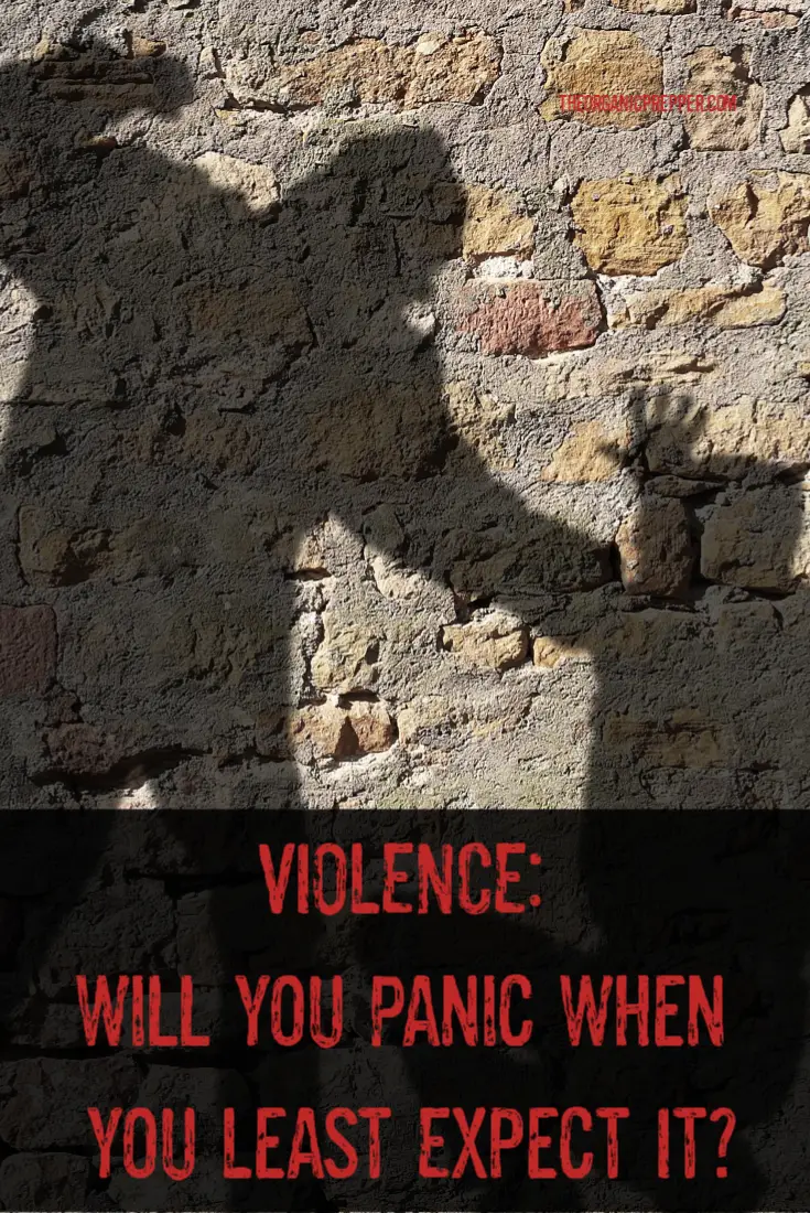 VIOLENCE: Will You Panic When You Least Expect It?