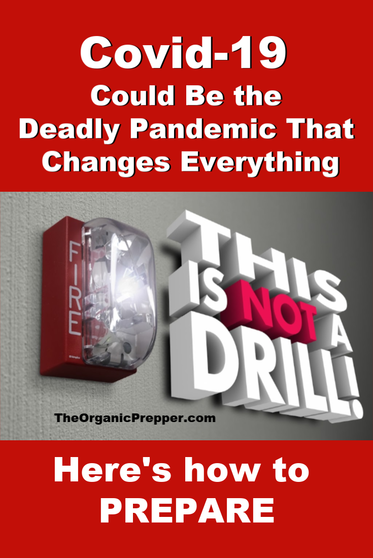 THIS IS NOT A DRILL: Why Covid-19 Could Be the Deadly Pandemic That Changes Everything