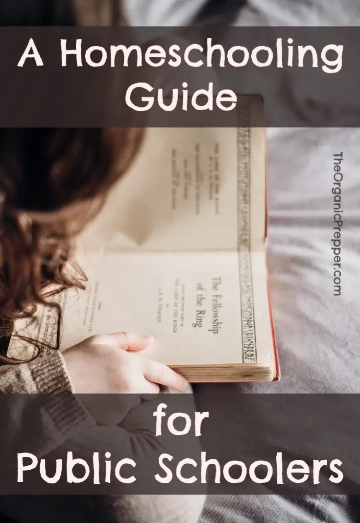 A Homeschooling Guide for Public Schoolers