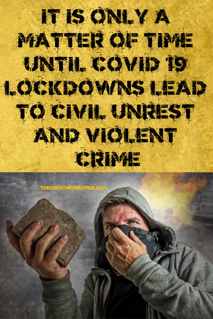 It\'s Only a Matter of Time Until COVID-19 Lockdowns Lead to Civil Unrest and Violent Crime