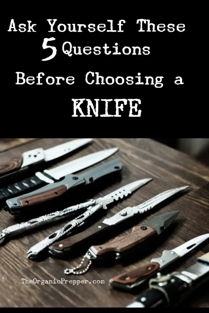 Ask Yourself These 5 Questions Before Choosing a Knife