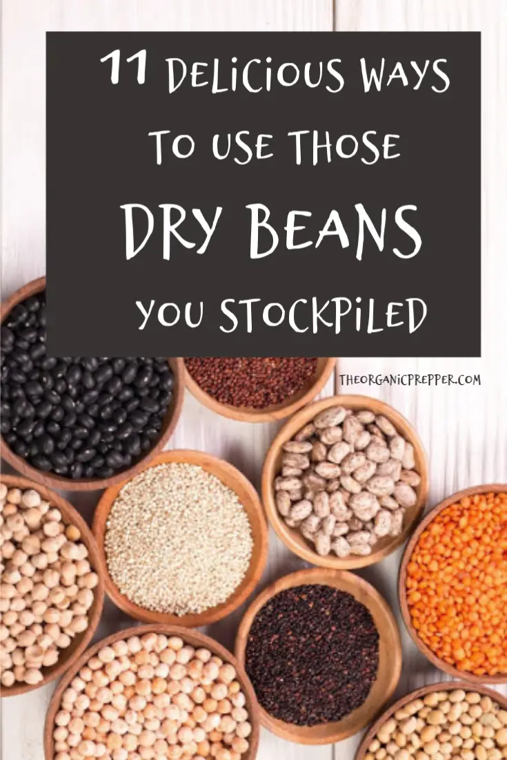 11 Delicious Ways to Use Those Dry Beans You Stockpiled