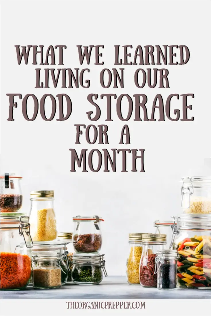 What We Learned Living on Our Food Storage for a Month