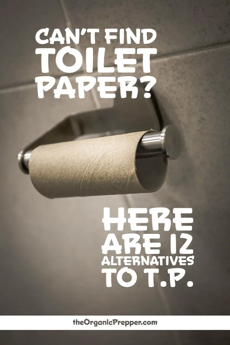 Can\'t Find Toilet Paper? Here Are 12 Alternatives to TP