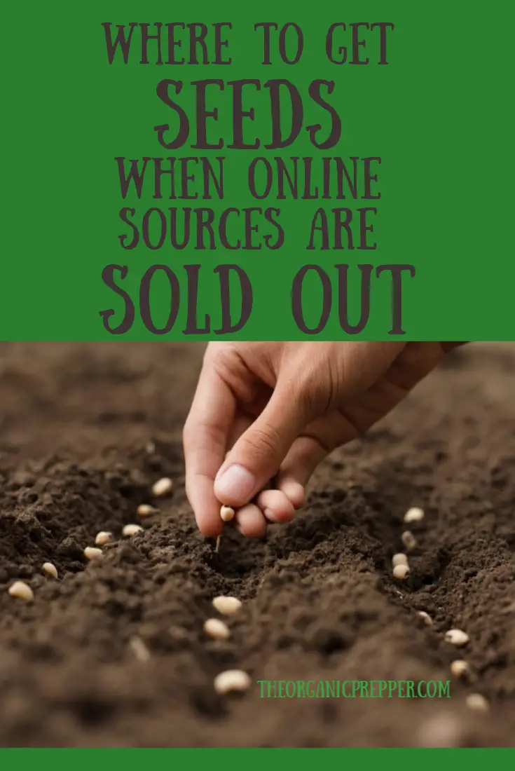 Where to Get Seeds When Online Sources are SOLD OUT
