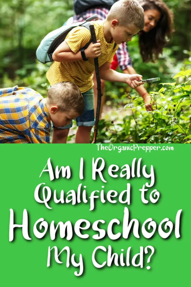 Are You Really Qualified to Homeschool Your Child?