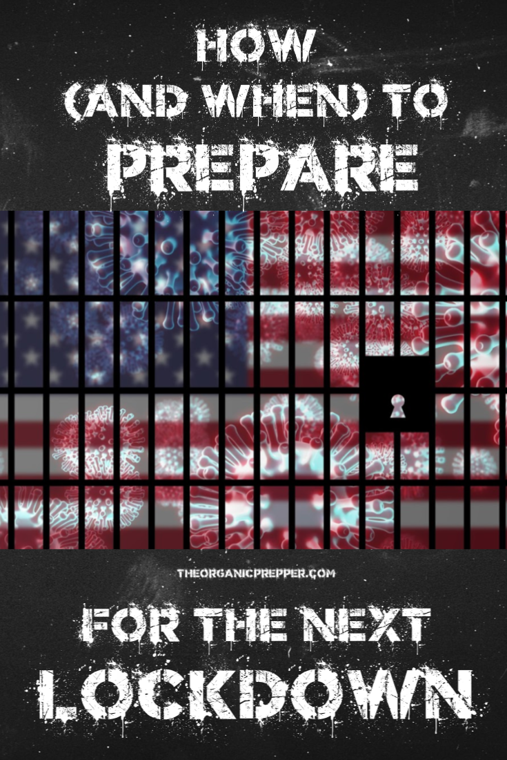 How (and When) to Prepare for the NEXT Lockdown