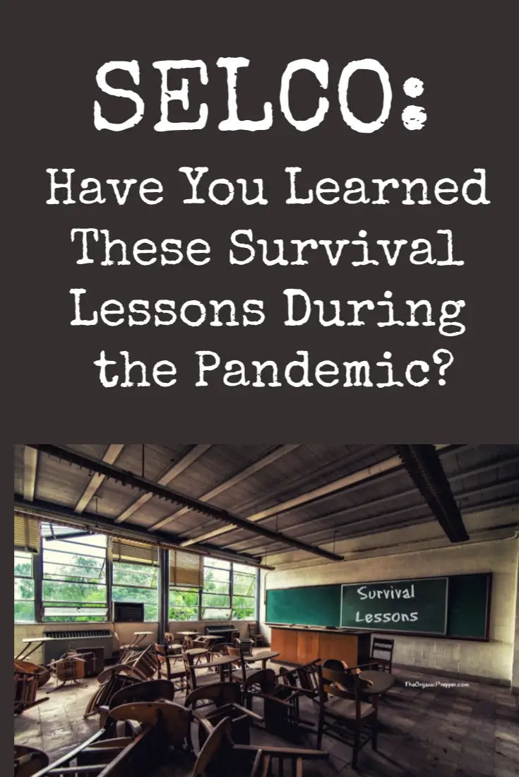 SELCO: Have You Learned These Survival Lessons During the Pandemic?