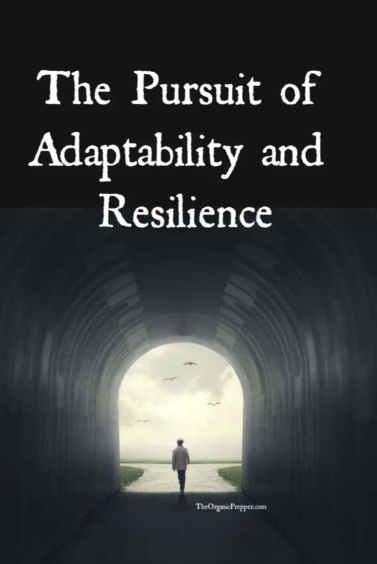 The Pursuit of Adaptability and Resilience