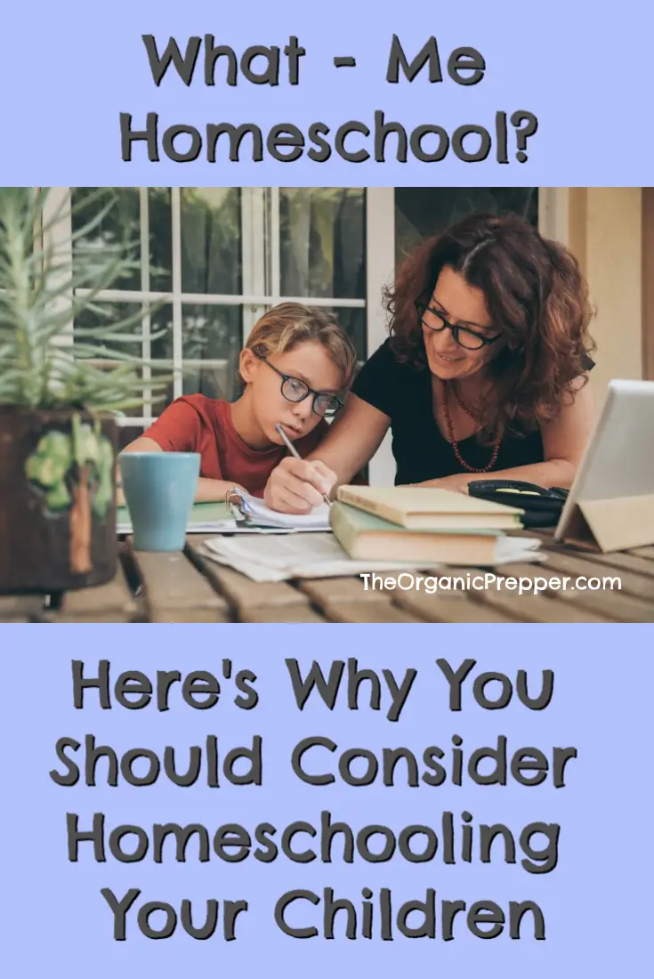 What, Me Homeschool? Here\'s Why You Should Consider Homeschooling Your Children