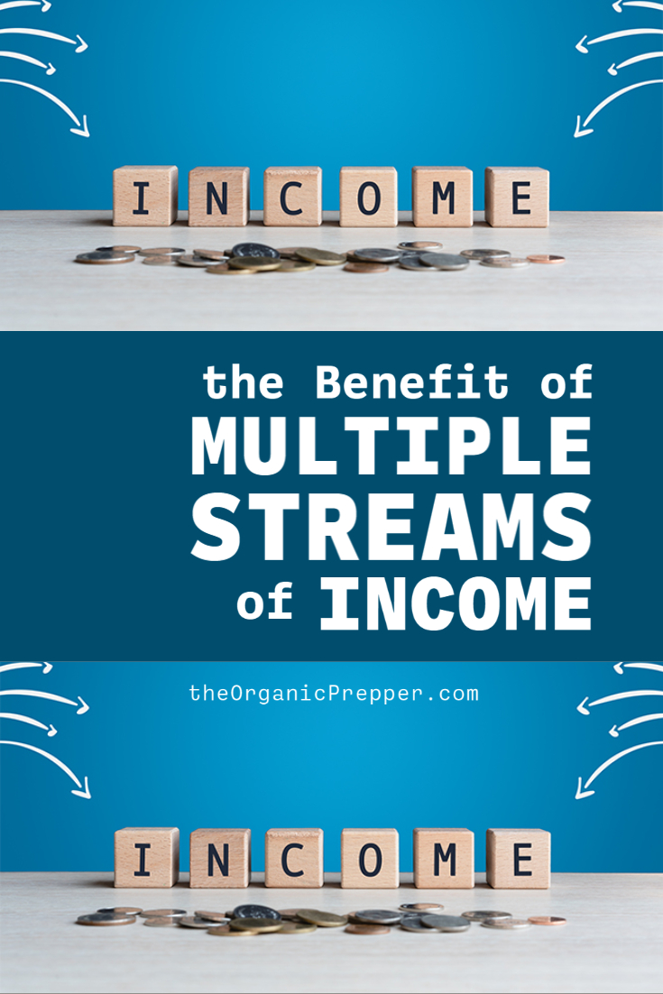 Why Everyone Should Have Multiple Streams of Income to Survive What's Coming