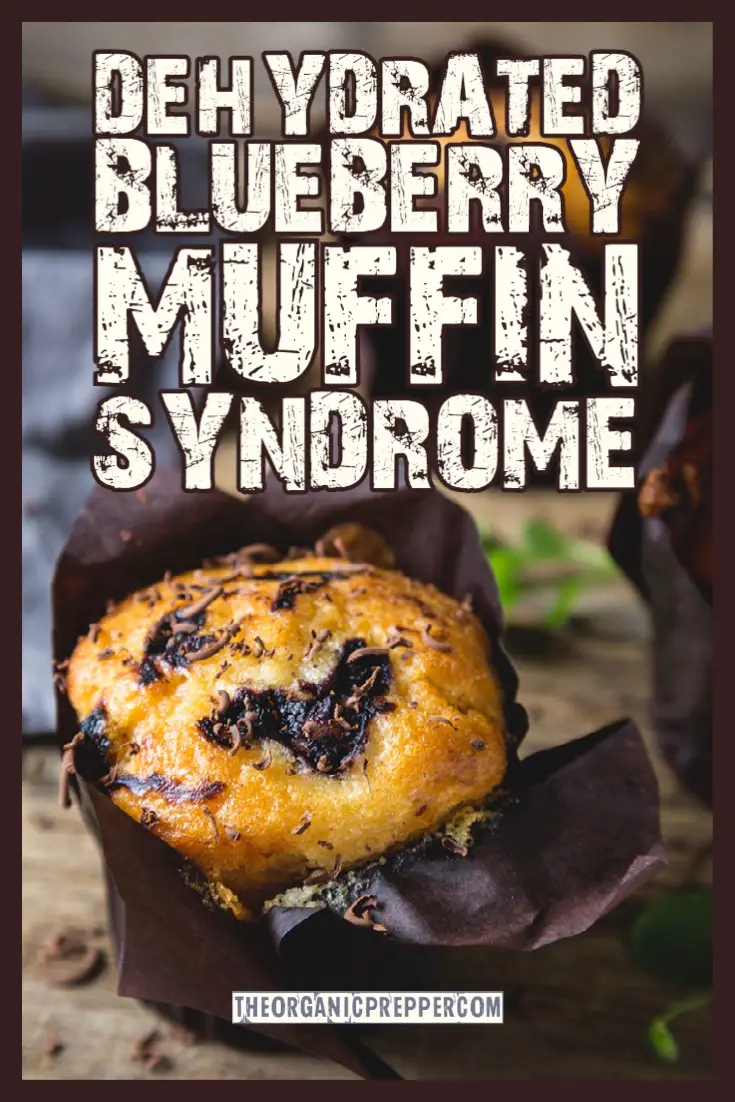 Dehydrated Blueberry Muffin Syndrome: Survival Isn\'t Always Comfortable
