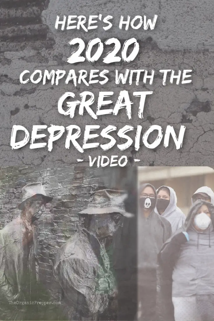 Here\'s How 2020 Compares with the Great Depression (VIDEO)