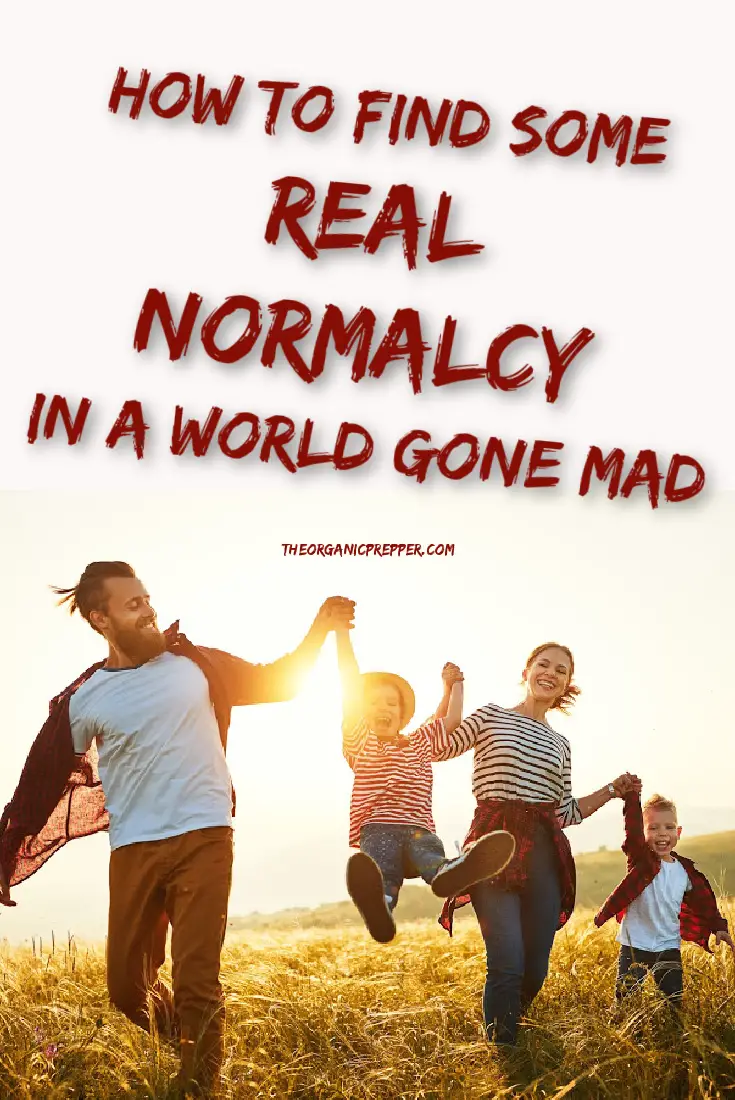How to Find Some REAL Normalcy in a World Gone Mad