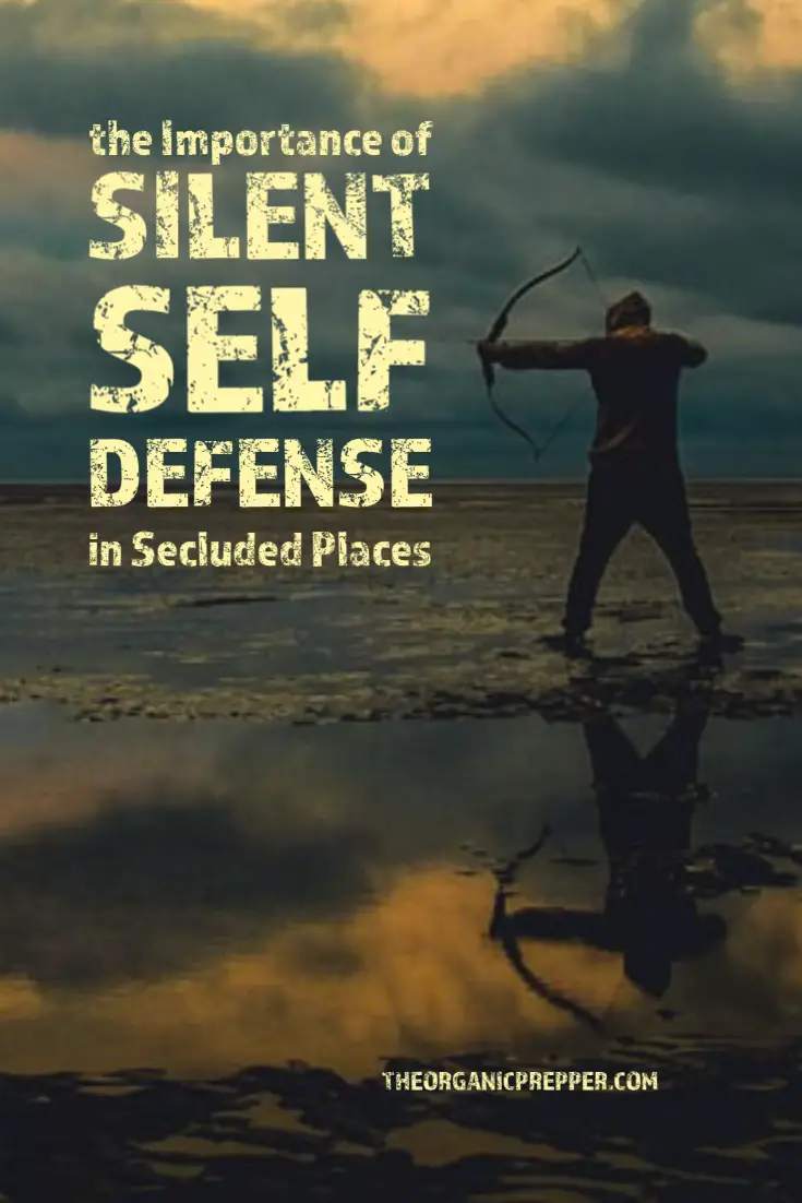 The Importance of Silent Self-Defense Weapons in Secluded Places