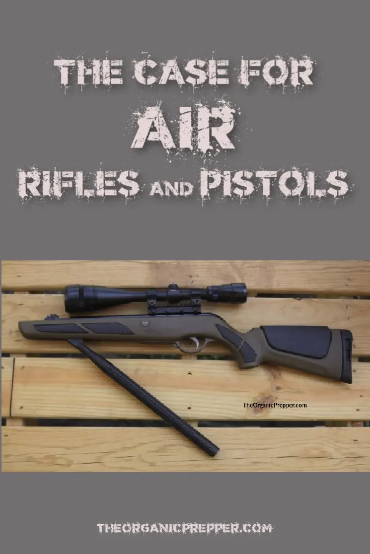 The Case for Air Rifles and Pistols