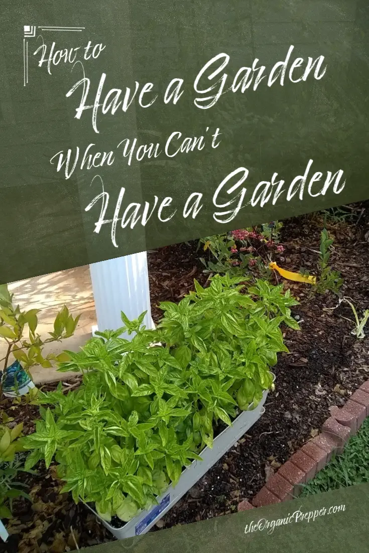 How to Have a Garden When You \